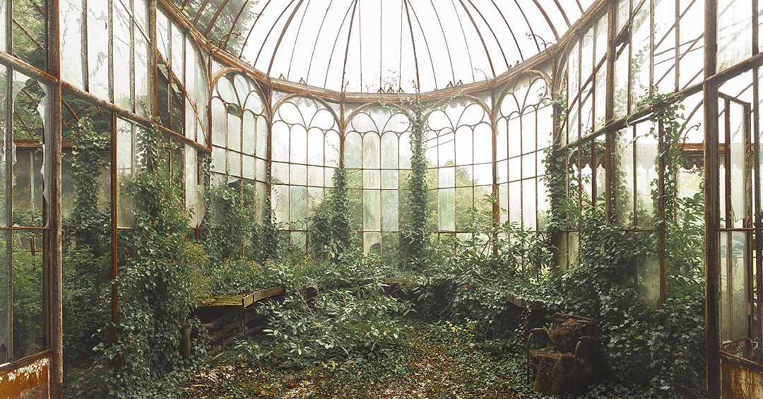 The Lost Summer Garden