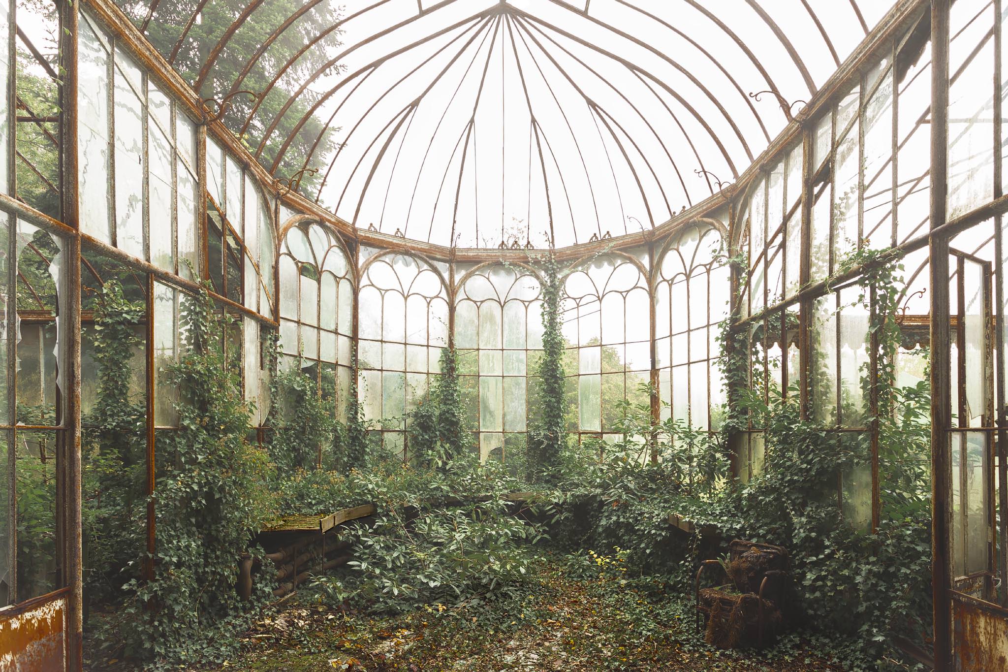 The Lost Summer Garden